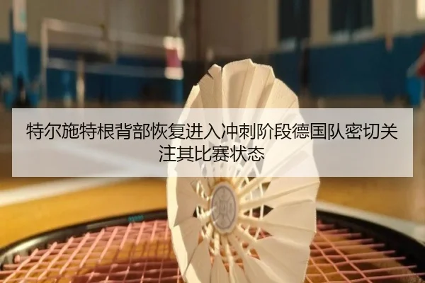 特尔施特根背部恢复进入冲刺阶段德国队密切关注其比赛状态 - cc7c7.app